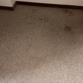 Edelweiss Resort and Restaurant - Room carpet - German Near Me - Greer, Arizona