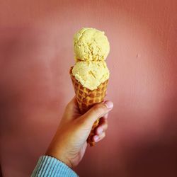 The Mint Chip Creamery - Pumpkin Spice Ice Cream