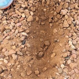 Large areas of dirt throughout yard without rock