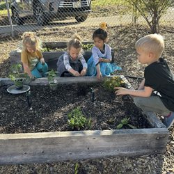 My Own School - Checking if there is anything ready to eat in the garden
