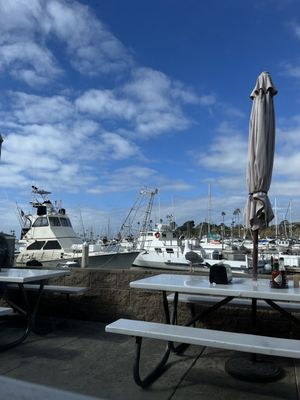 Harbor Fish & Chips by null