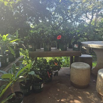Geobunga - Nurseries & Gardening Near Me - Aiea, Hawaii Geobunga - Nurseries & Gardening Near Me - Aiea, Hawaii