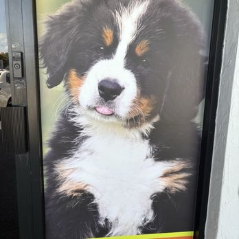 Petland Kendall - Pet Stores Near Me - Miami, Florida Petland Kendall - Pet Stores Near Me - Miami, Florida