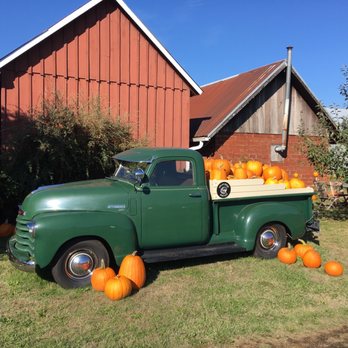 Dolan Creek Farm - Pumpkin Patches Near Me - Boring, Oregon Dolan Creek Farm - Pumpkin Patches Near Me - Boring, Oregon