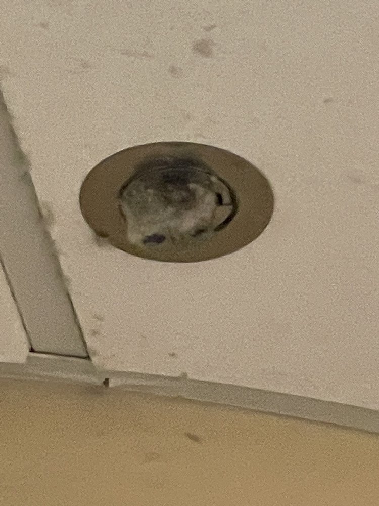 Jefferson Abington Hospital - patient advocate in Abington, PA