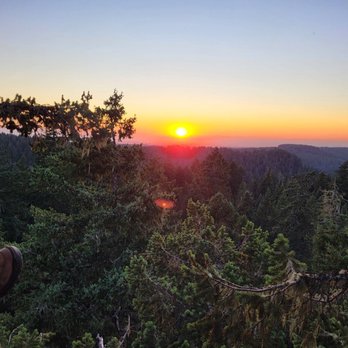 Tree Climbing at Silver Falls - Willamette Valley sunset from the top of a 300ft tall old-growth Doug Fir - Climbing Near Me - Sublimity, Oregon
