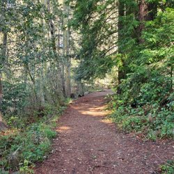 Jewel Lake - Trail