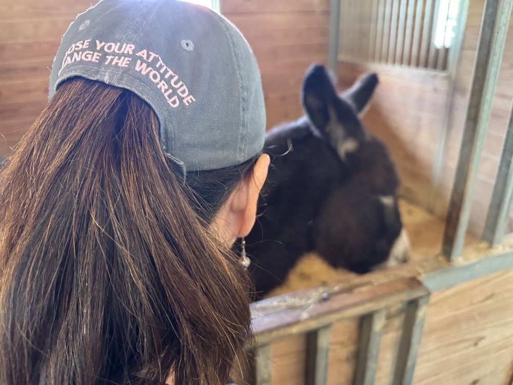 Spirit Song Youth Equestrian Academy - social services organization in Anna, TX