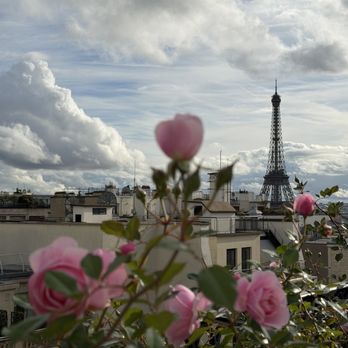 L'Oiseau Blanc - French Near Me - Paris, 75