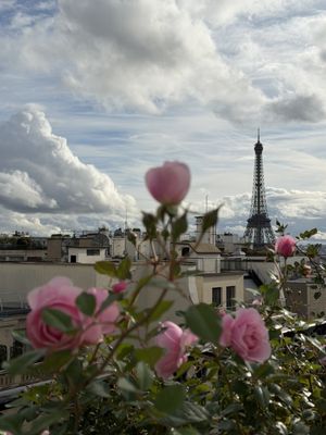 L'Oiseau Blanc by null L'Oiseau Blanc by null