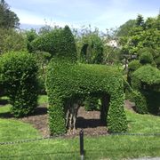 Green Animals Topiary Gardens - 123 Photos & 31 Reviews - Museums - 380