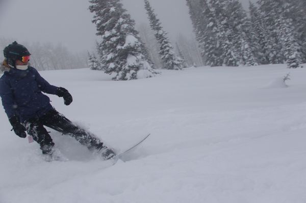 Steamboat Powdercats by null