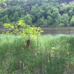 Osceola Landing