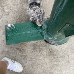 Clean water fountain! Clean water fountain!