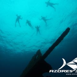 Azores 38ºN - Snorkeling