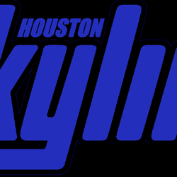Houston Skyline Volleyball
