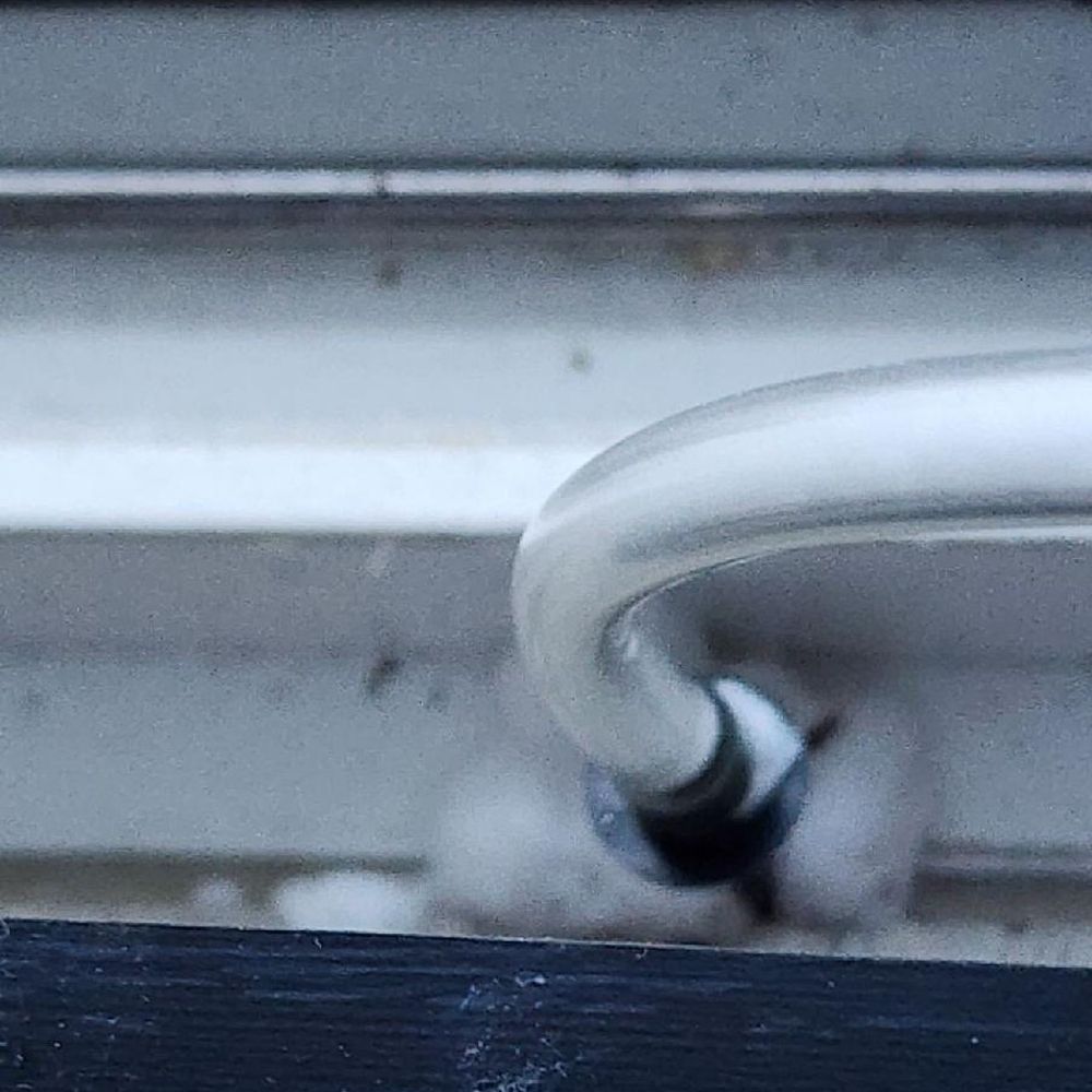 Quality Quest Pest Control - Pest Control Near Me