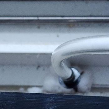 Quality Quest Pest Control - Pest Control Near Me Quality Quest Pest Control - Pest Control Near Me