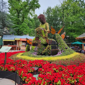 Dollywood - Amusement Parks Near Me - Pigeon Forge, Tennessee