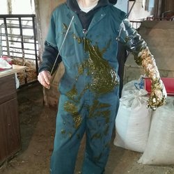 Town & Country Animal Health Care - Dr. Vicki does large animal care at the farm too. Perks of the job! But doesn't she look fashionable?!