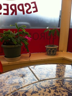 Little Prague European Bakery by null