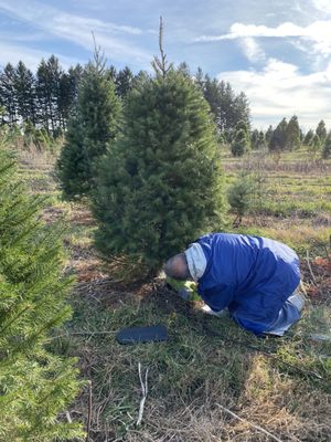 Wilbert S Tree Farm 1325 Salt Rd Webster Ny Garden Centers Mapquest