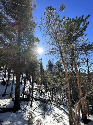 Denver Adventures - Zipline Tours by null