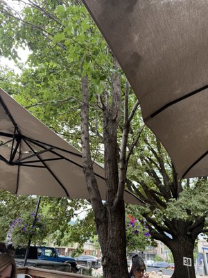 Le French Café by null