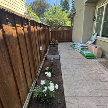 All In One - Rose bushes - Movers Near Me - Stanford, California