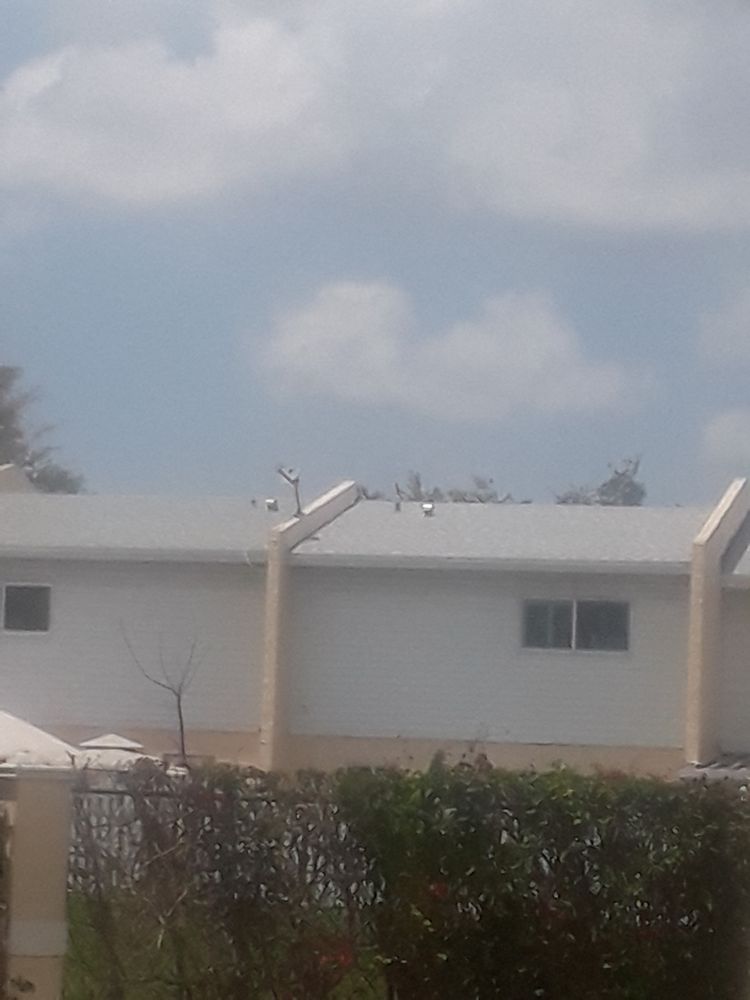 Slide of Paula Roofing