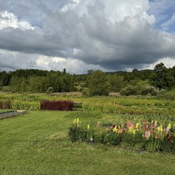 Valley Dream Farm