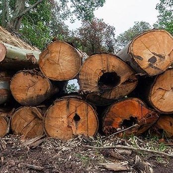 Monte's Tree & Firewood Service - Firewood Near Me Monte's Tree & Firewood Service - Firewood Near Me