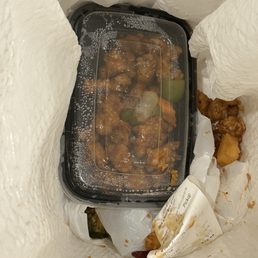 General Tso in garbage can!