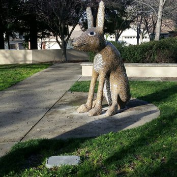 Deer/Rabbit Mini Park - More bunnies ! - Parks Near Me - Folsom, California Deer/Rabbit Mini Park - More bunnies ! - Parks Near Me - Folsom, California