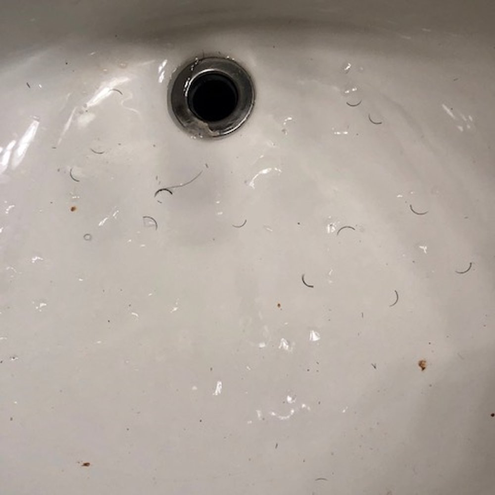 Amazing Lash Studio - Day after you pay for getting your lashes done... this is what to expect. - Eyelash Service Near Me - Englewood, New Jersey Amazing Lash Studio - Day after you pay for getting your lashes done... this is what to expect. - Eyelash Service Near Me - Englewood, New Jersey