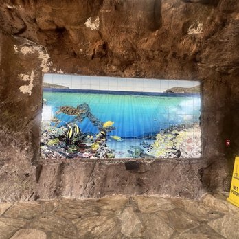 Hanauma Bay Snorkel Adventures - Beach Equipment Rentals Near Me - Honolulu, Hawaii Hanauma Bay Snorkel Adventures - Beach Equipment Rentals Near Me - Honolulu, Hawaii