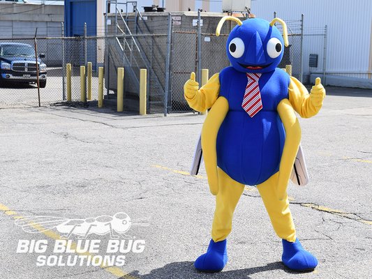 Big Blue Bug Solutions by null