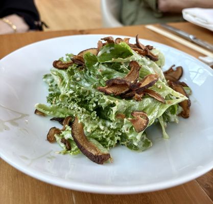 Sensei by Nobu by null