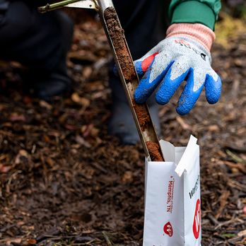 Bartlett Tree Experts - Tree Services Near Me - Mystic, Connecticut Bartlett Tree Experts - Tree Services Near Me - Mystic, Connecticut