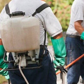 Shelby's Pest Control - Pest Control Near Me - Chico, California Shelby's Pest Control - Pest Control Near Me - Chico, California