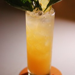 The Fennec - Sioux City Sue available in The Foxhole Lounge