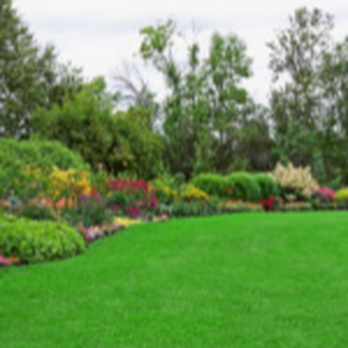 Michael's Irrigation - Irrigation Near Me - Street, Maryland Michael's Irrigation - Irrigation Near Me - Street, Maryland