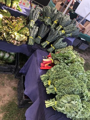 Wallingford Farmers Market by null