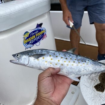Chasin' Tail Fishing Charters - Mackerel - Fishing Near Me Chasin' Tail Fishing Charters - Mackerel - Fishing Near Me