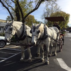 McHenry Village - Barney & Bob.