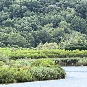 Urdaibai Bird Center - Community Service/Non-Profit Near Me - Zelaieta, BI