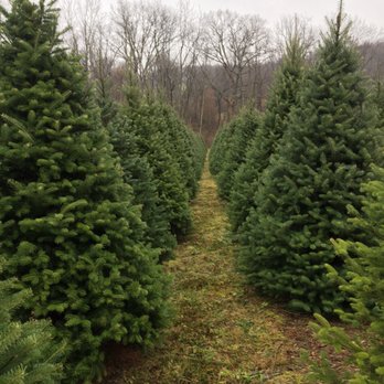 Buchanan Evergreen Farm - Christmas Trees Near Me - Hookstown, Pennsylvania