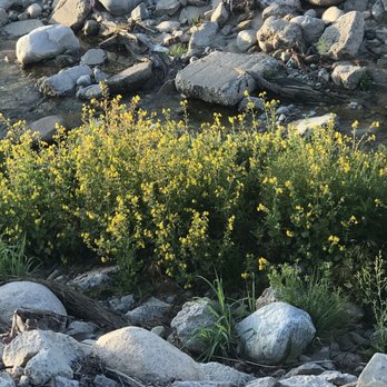 Orange Blossom Trail - Hiking Near Me - Redlands, California