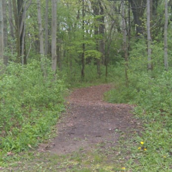 Havenwoods State Forest - Offshoot Trail - Parks Near Me - Milwaukee, Wisconsin