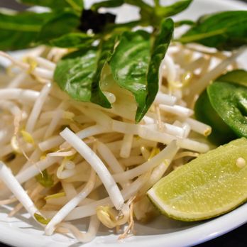 Viet Taste - Veggies for Pho - Vietnamese Near Me - Palatine, Illinois Viet Taste - Veggies for Pho - Vietnamese Near Me - Palatine, Illinois